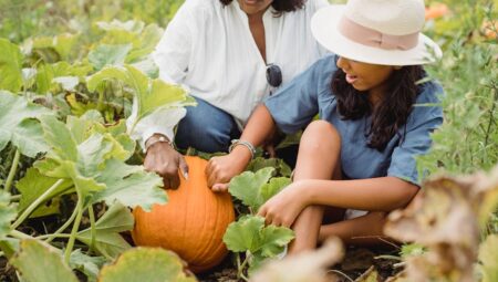 Sonbaharda Ekilebilecek Sebzeler: Verimli Hasat İçin İpuçları