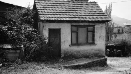 Evde Lezzetli Çilek Nasıl Yetiştirilir? Adım Adım Rehber