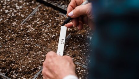 Ekim Öncesi Toprak Hazırlığı: Verimli Hasatın Sırrı