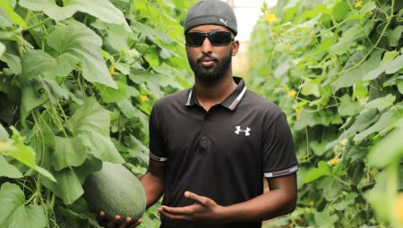 Kavun Yetiştiriciliği: Lezzetli Hasat İçin Kapsamlı Rehber