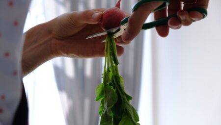 Sebze Ekimi İçin İdeal Toprak Karışımı Nasıl Hazırlanır?