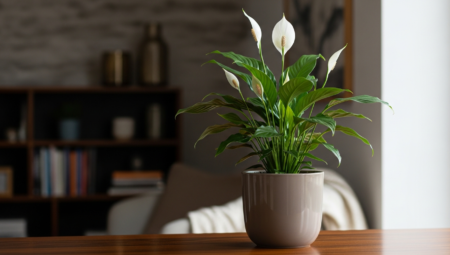 Barış Çiçeği Bakımı 2026: Evde Spathiphyllum Yetiştirmenin 7 Temel