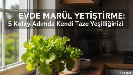 Evde Marul Yetiştirme: 5 Kolay Adımda Kendi Taze Yeşilliğinizi