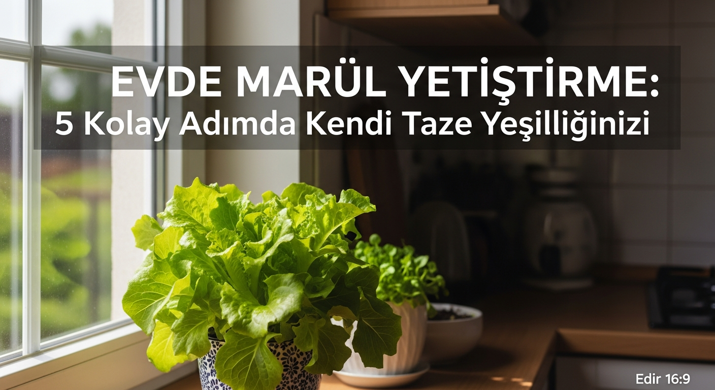 Evde Marul Yetiştirme: 5 Kolay Adımda Kendi Taze Yeşilliğinizi